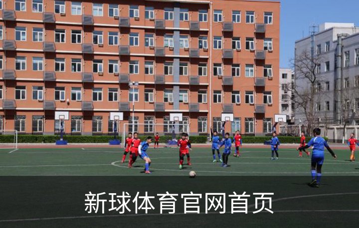 了解新球体育官网首页